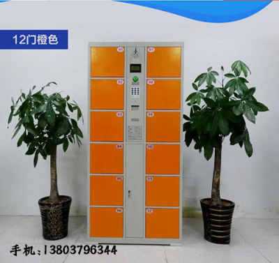 濱州市陽(yáng)信縣濟(jì)南超市緊湊型存包柜 巧妙設(shè)計(jì)，高效便民